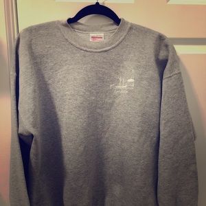 Hanes comfort blend sweater